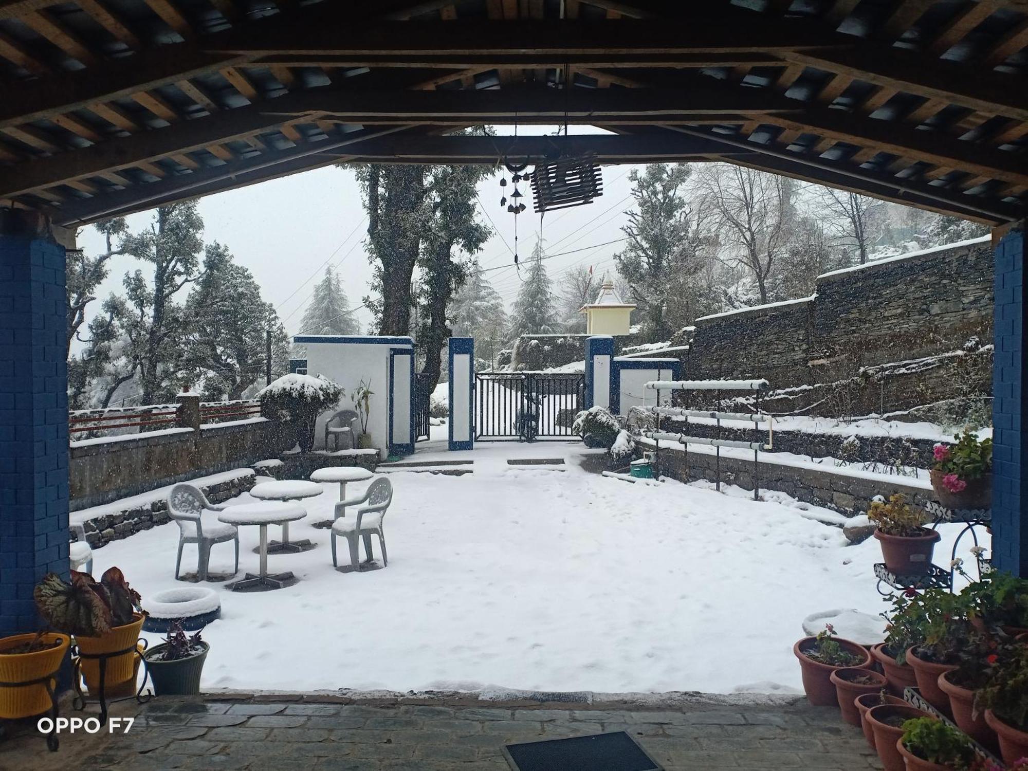 Oasis Guest House Bhagsu D'Shala ダラムシャーラー エクステリア 写真